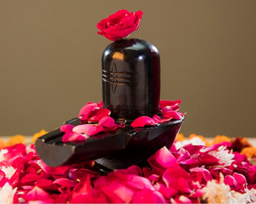 Hindi_North_Indian_Bihari_Pandits_Book_Pandit_Online_Now_In_Bangalore_Hyderabad_Chennai_Kolkata_Delhi_Mumbai_For_Rudrabhishek_Puja_Pooja_Through_Vedyagya