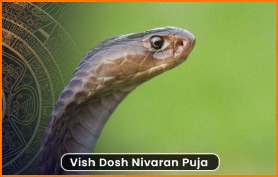Hindi_North_Indian_Bihari_Pandits_Book_Pandit_Online_Now_In_Bangalore_Hyderabad_Chennai_Kolkata_Delhi_Mumbai_For_Vish_Yog_Dosh_Nivaran_Puja _Pooja_Through_Vedyagya