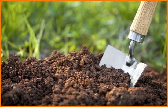 Hindi_North_Indian_Bihari_Pandits_Book_Pandit_Online_Now_In_Bangalore_Hyderabad_Chennai_Kolkata_Delhi_Mumbai_For_Soil_Examination_Soil_Testing_Puja_Pooja_Through_Vedyagya
